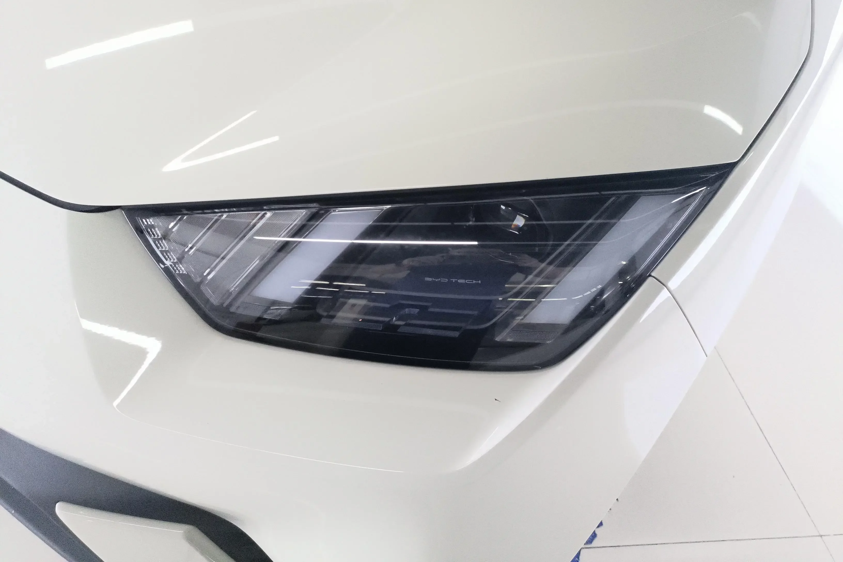 BYD seagull