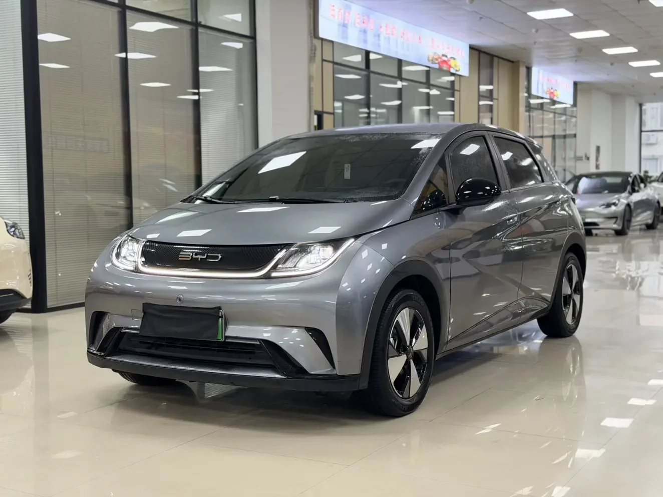 BYD dolphin