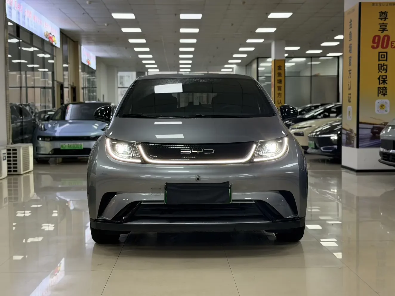 BYD dolphin