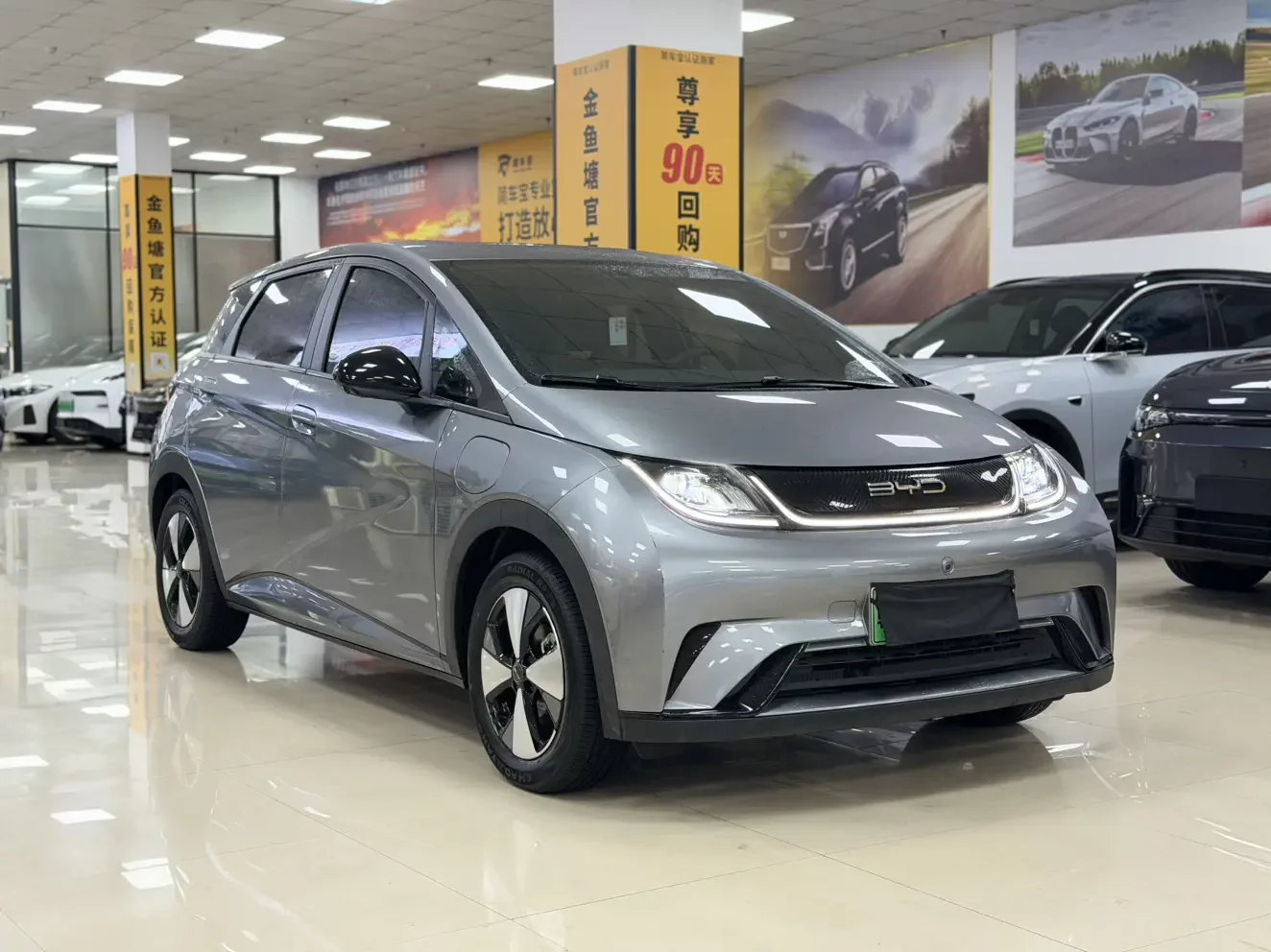 BYD dolphin
