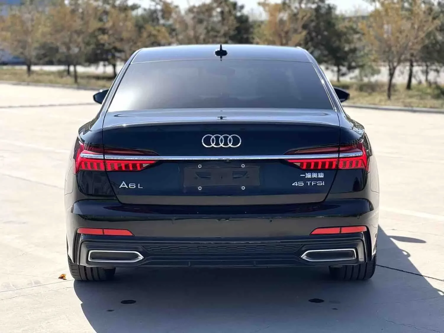 Audi A6L