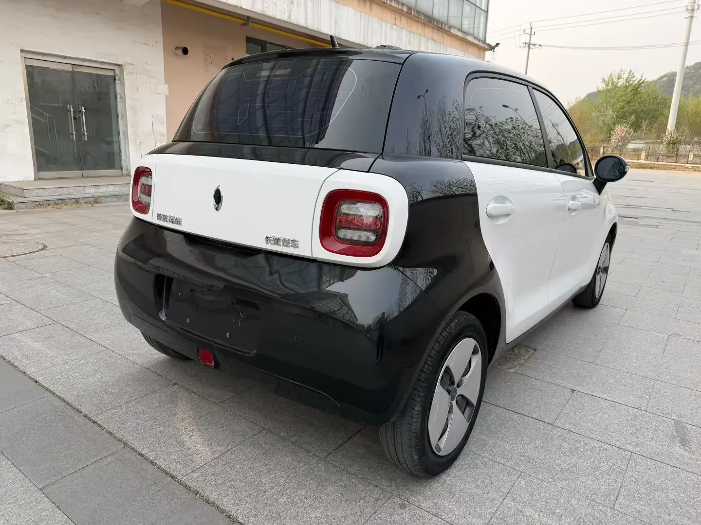 ORA Euler black cat