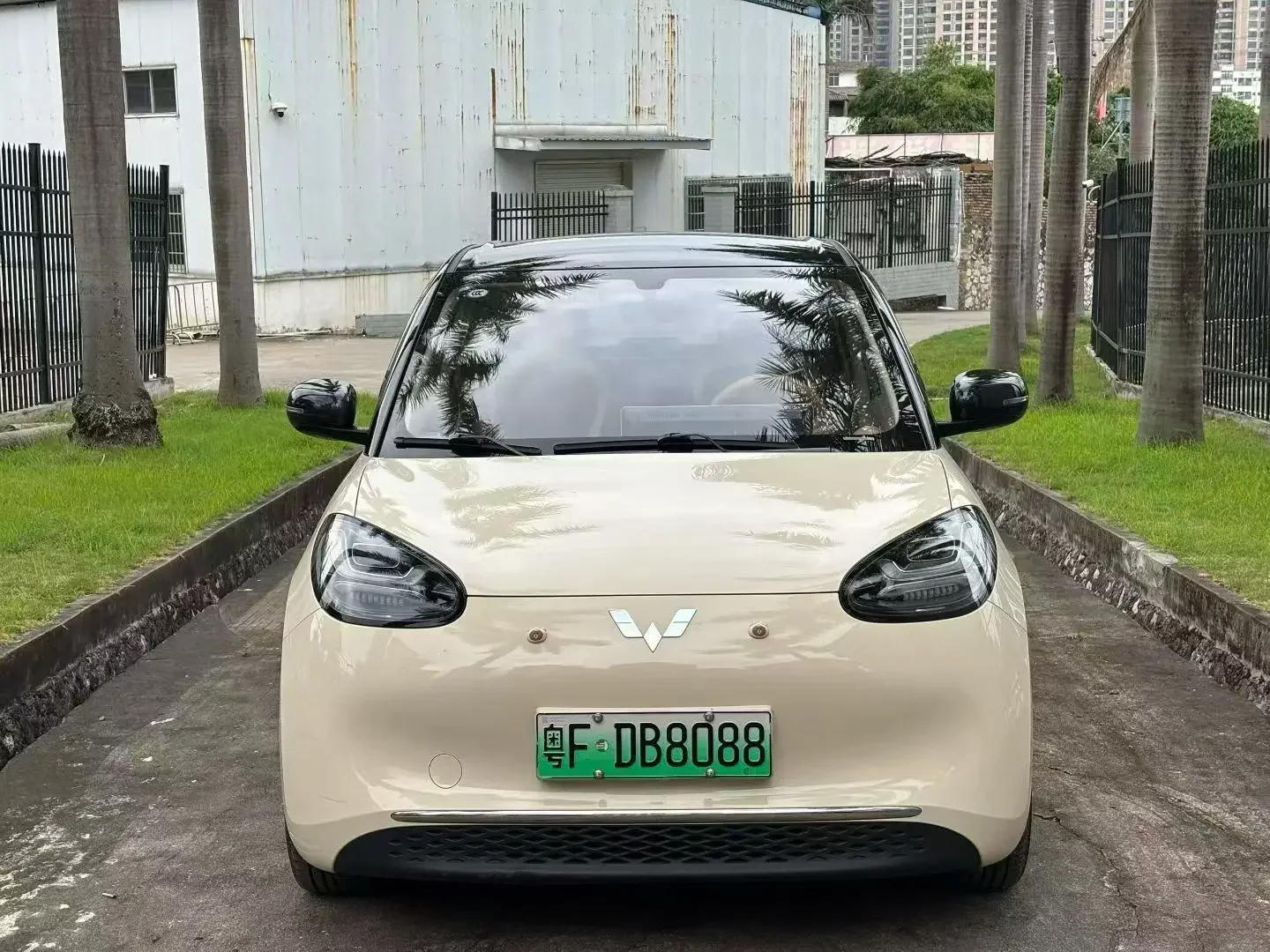 Wuling Bingo