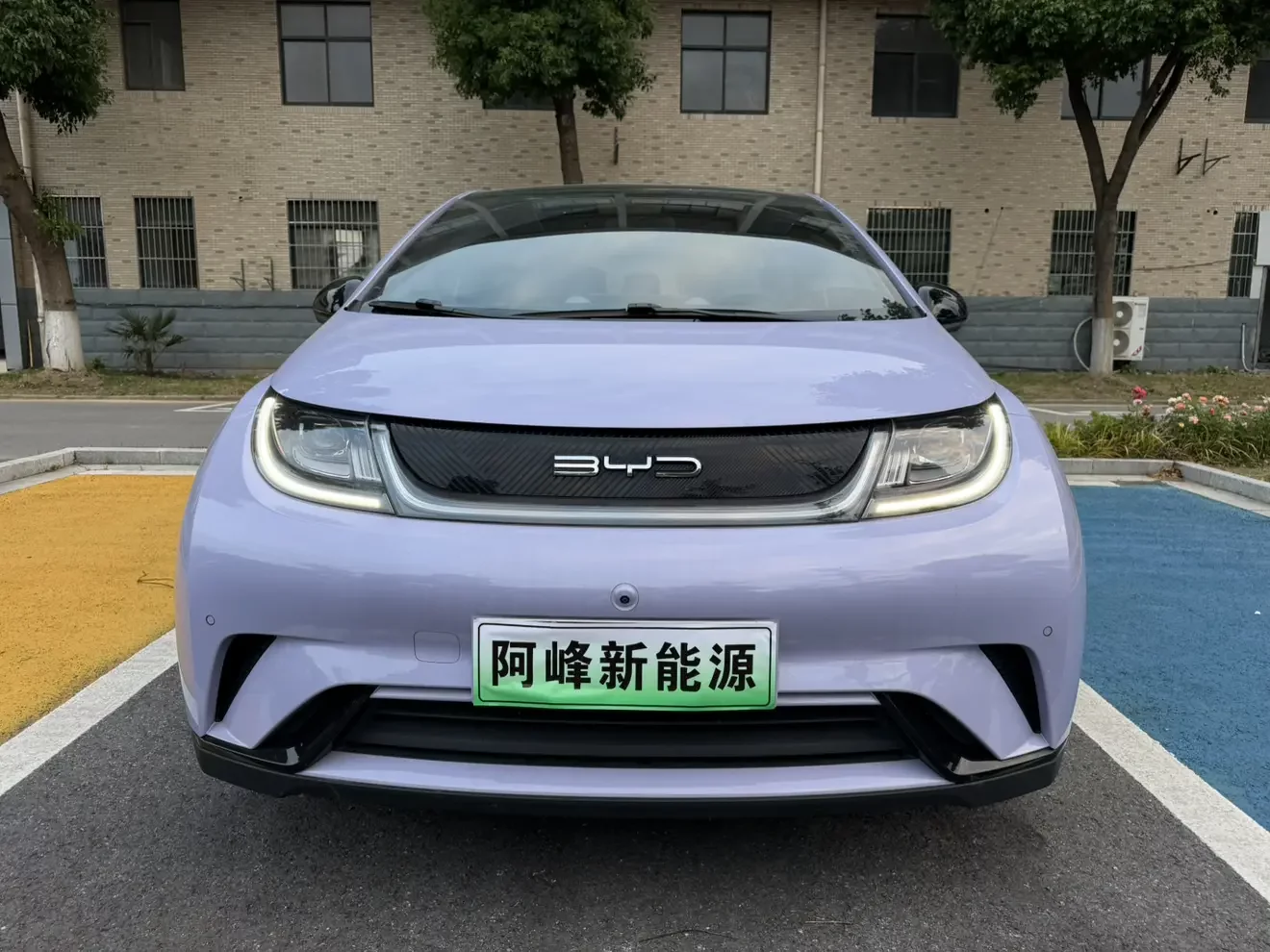 BYD dolphin