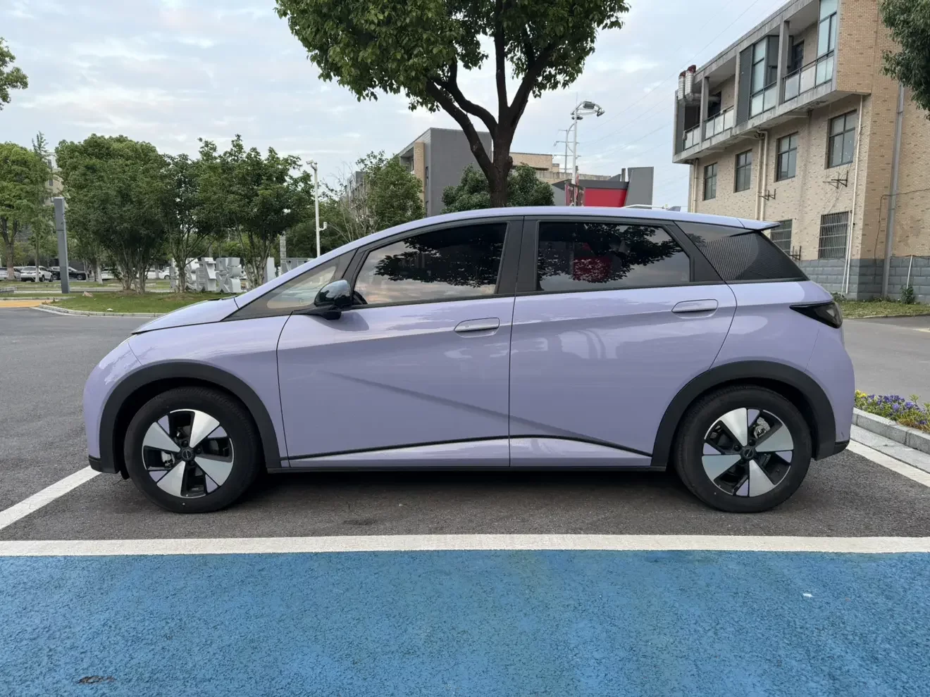 BYD dolphin