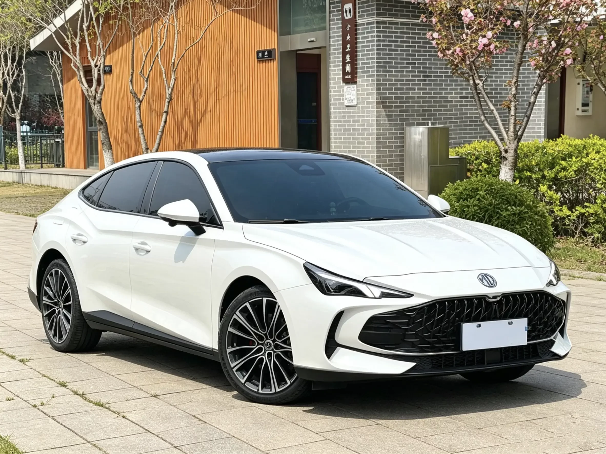 MG 7