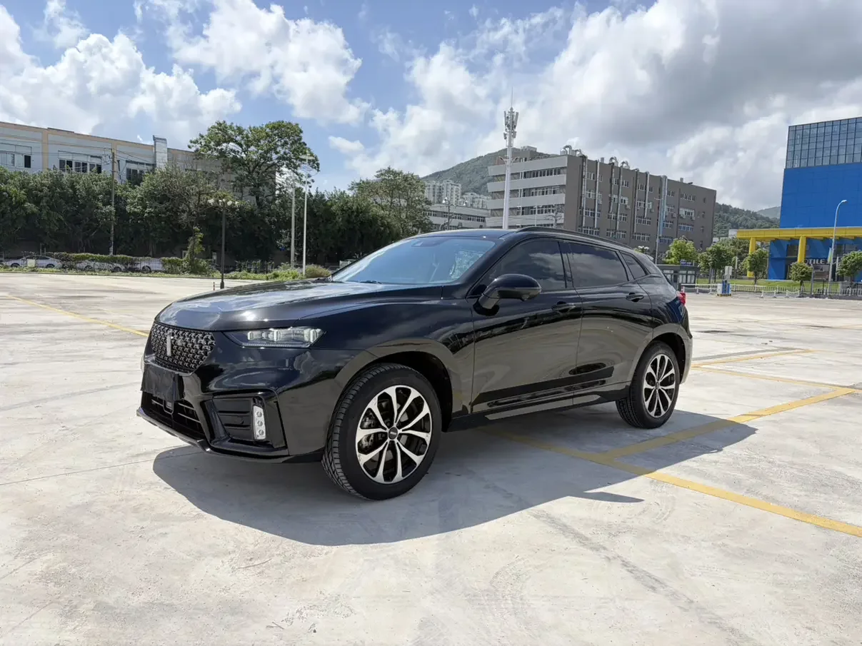 Wey Wei brand VV7