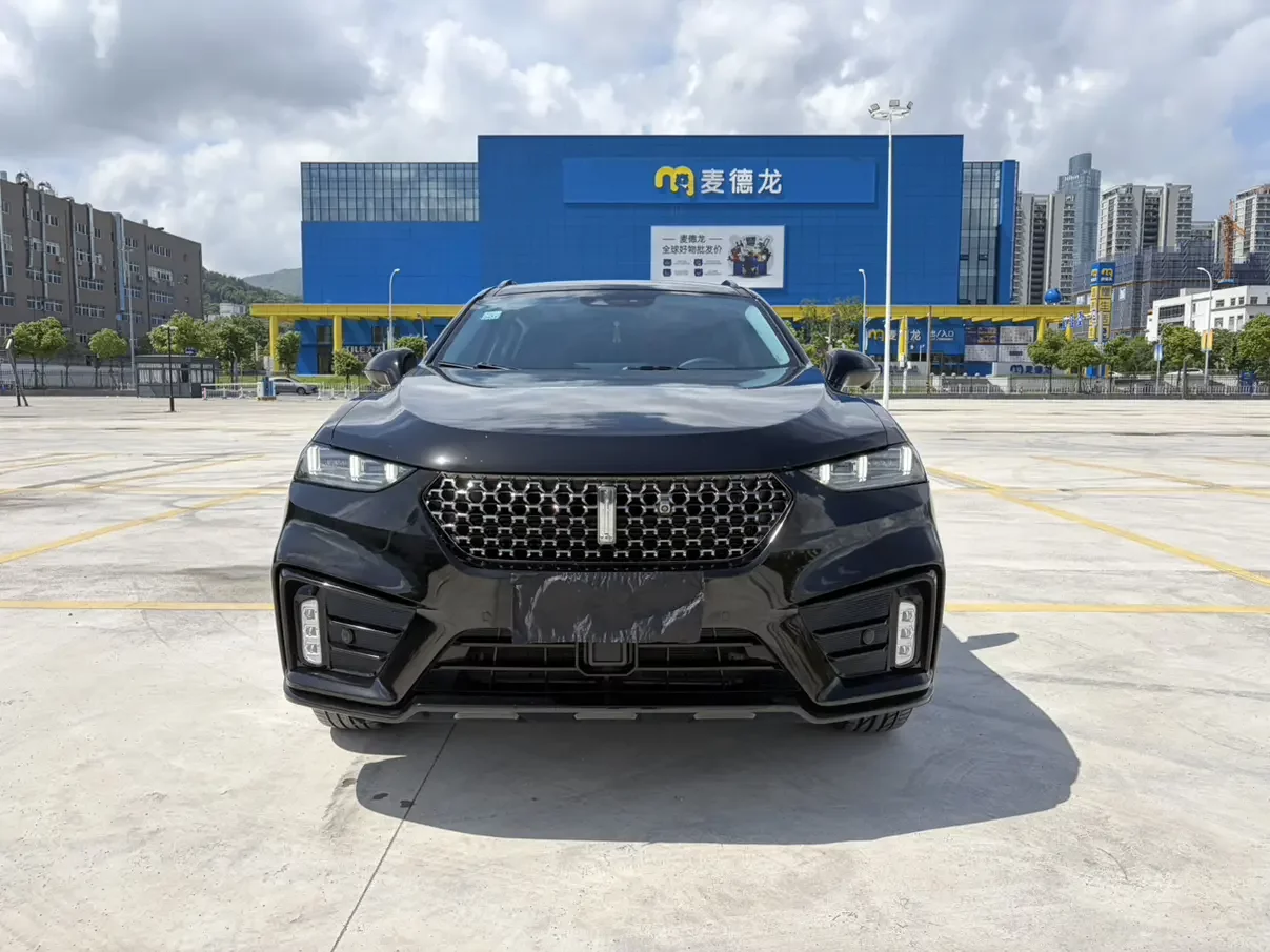 Wey Wei brand VV7