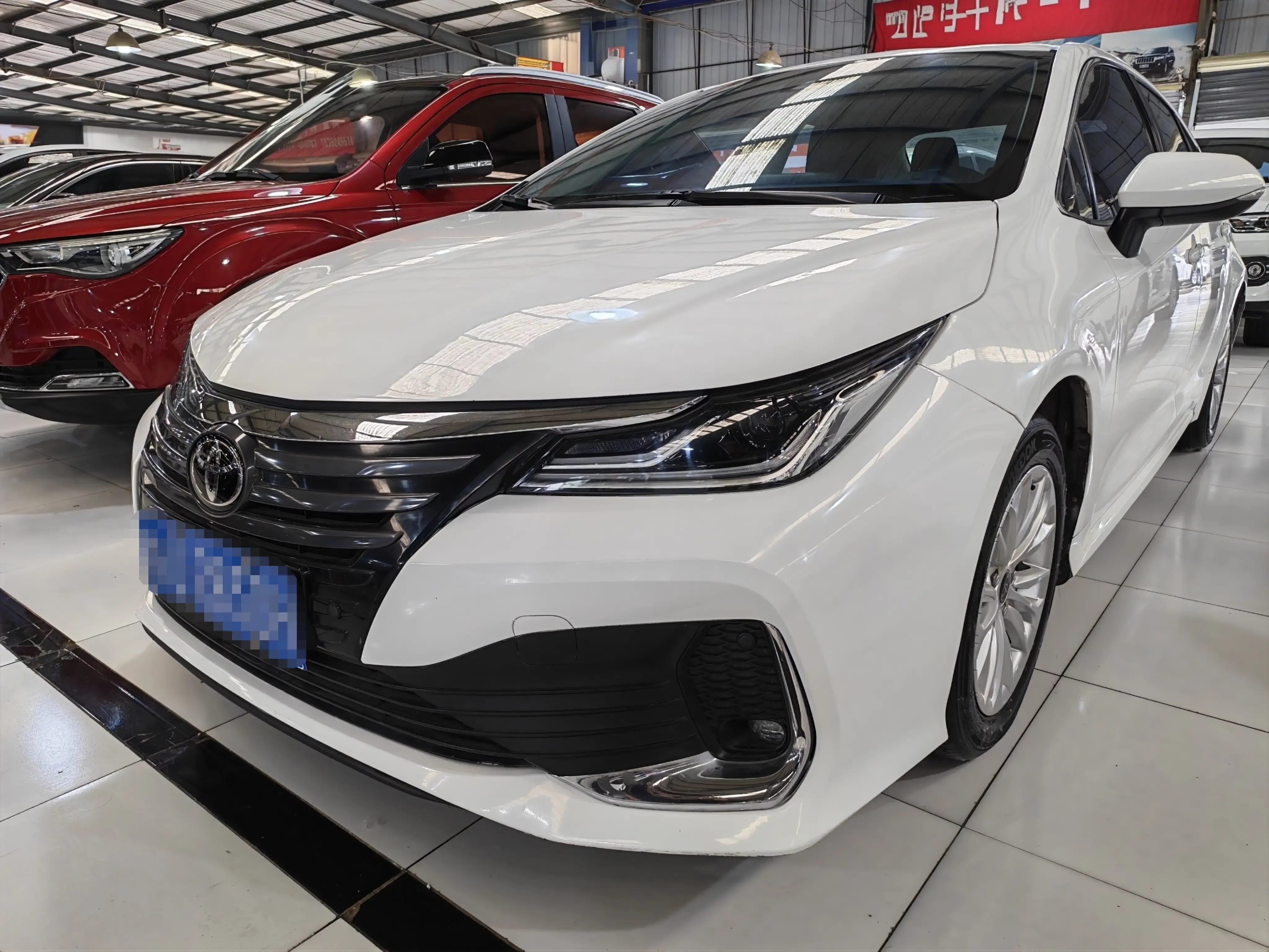 Toyota Asiatic lion