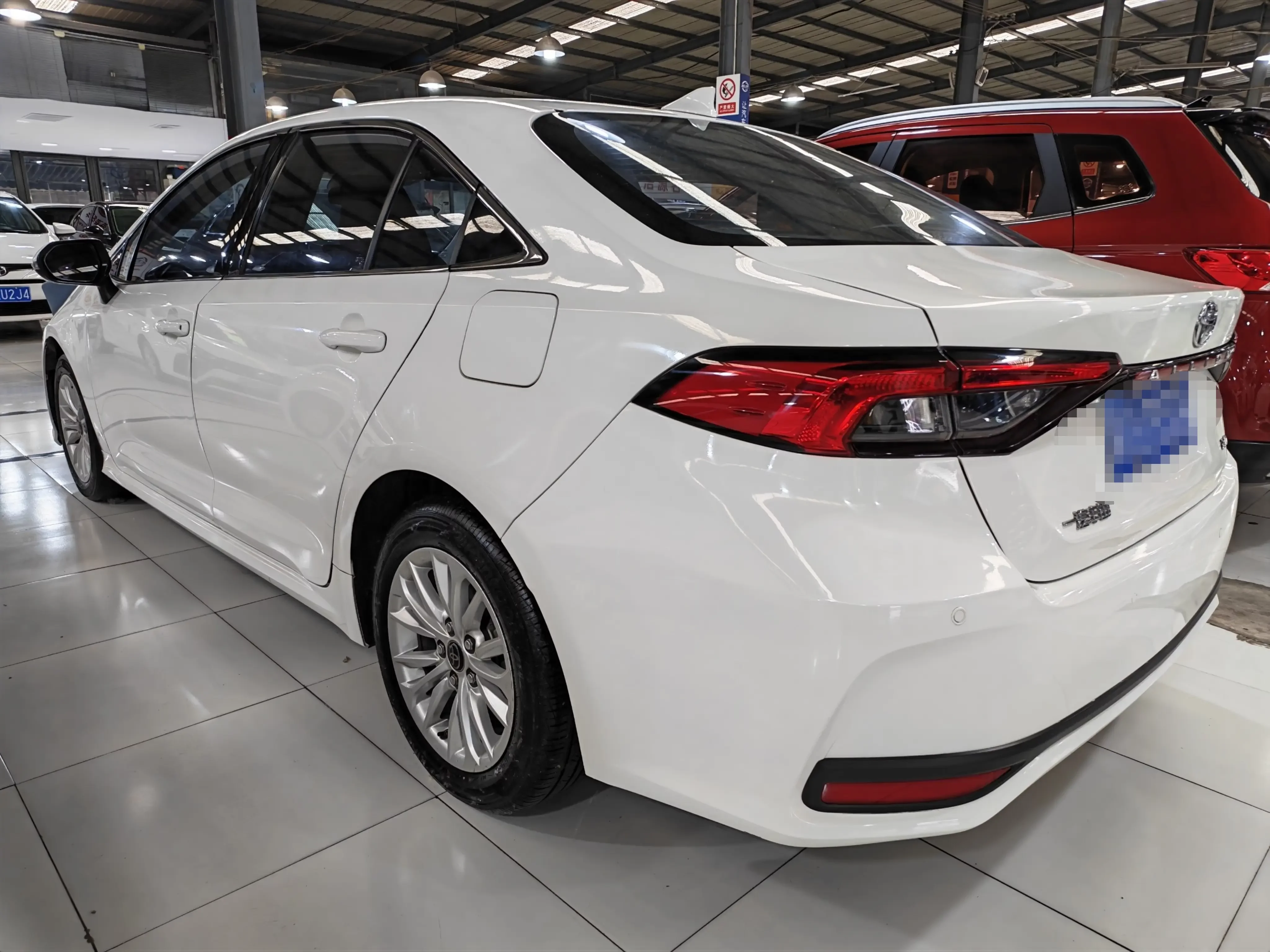 Toyota Asiatic lion