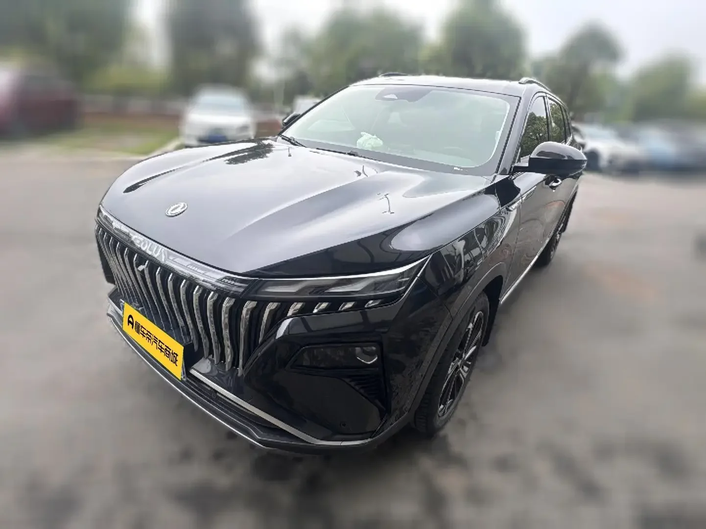Dongfeng Haoji