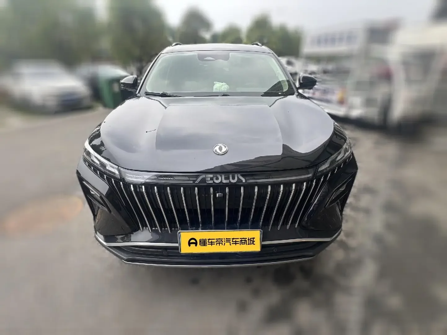 Dongfeng Haoji