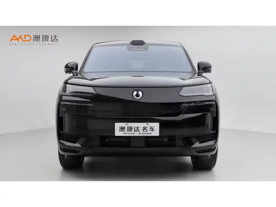 Denza Tengzhong N9 DM