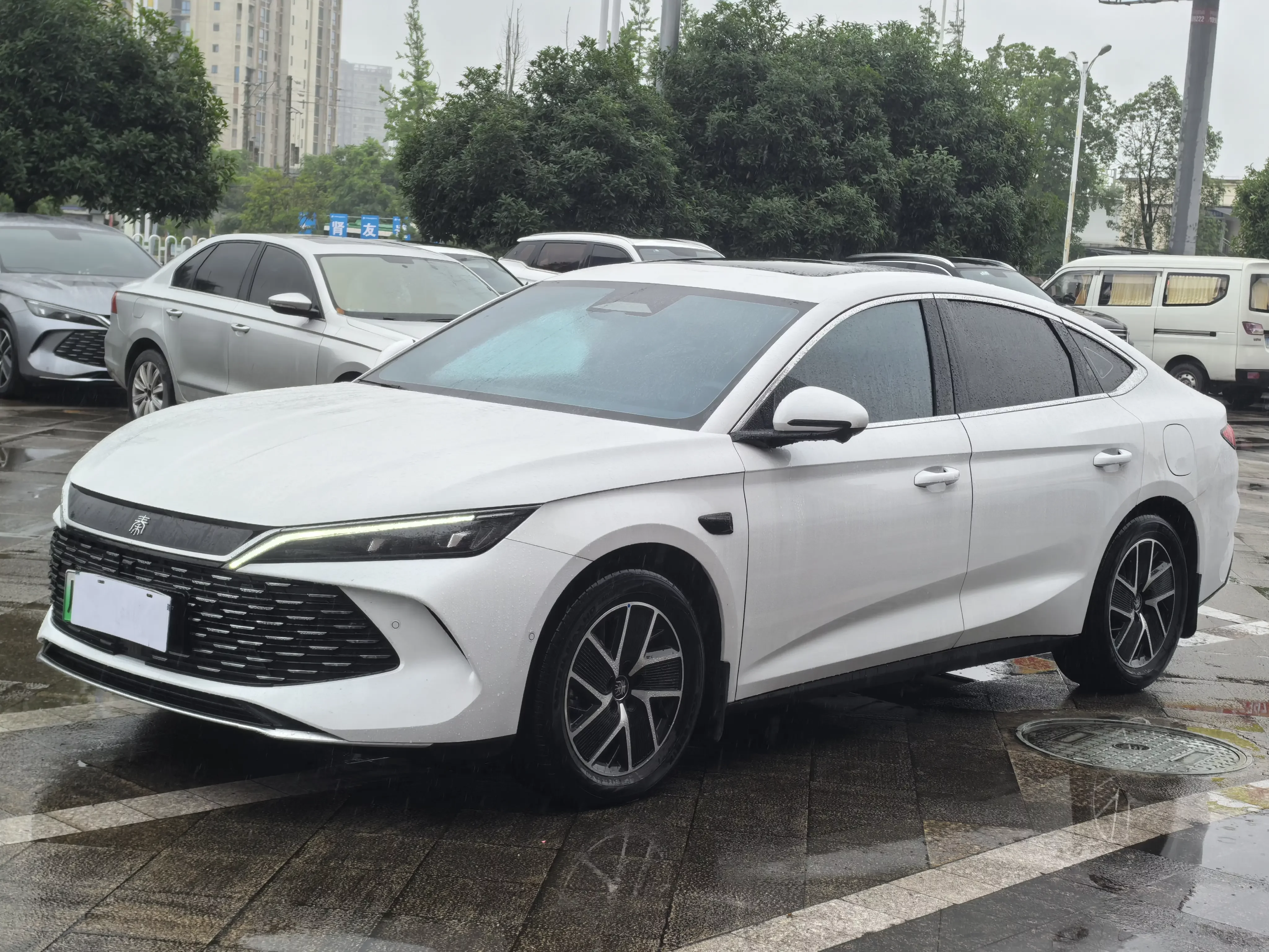 BYD Qin L DM