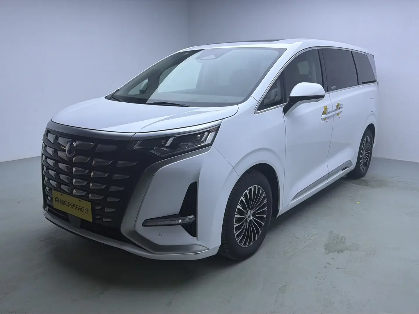 Denza D9 DM