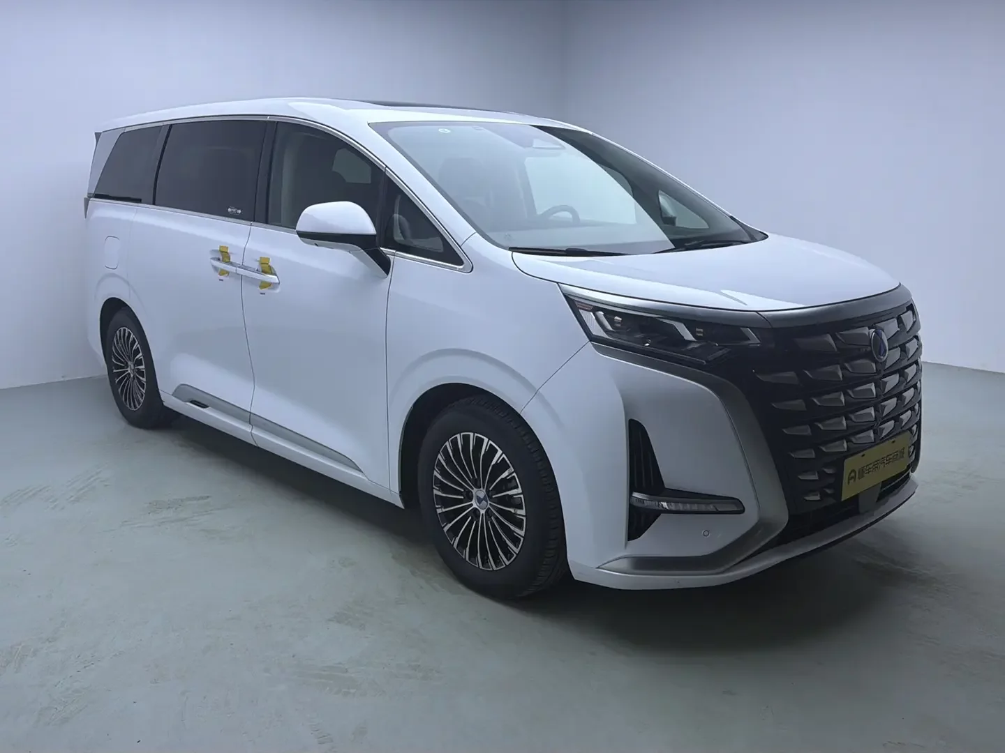 Denza D9 DM