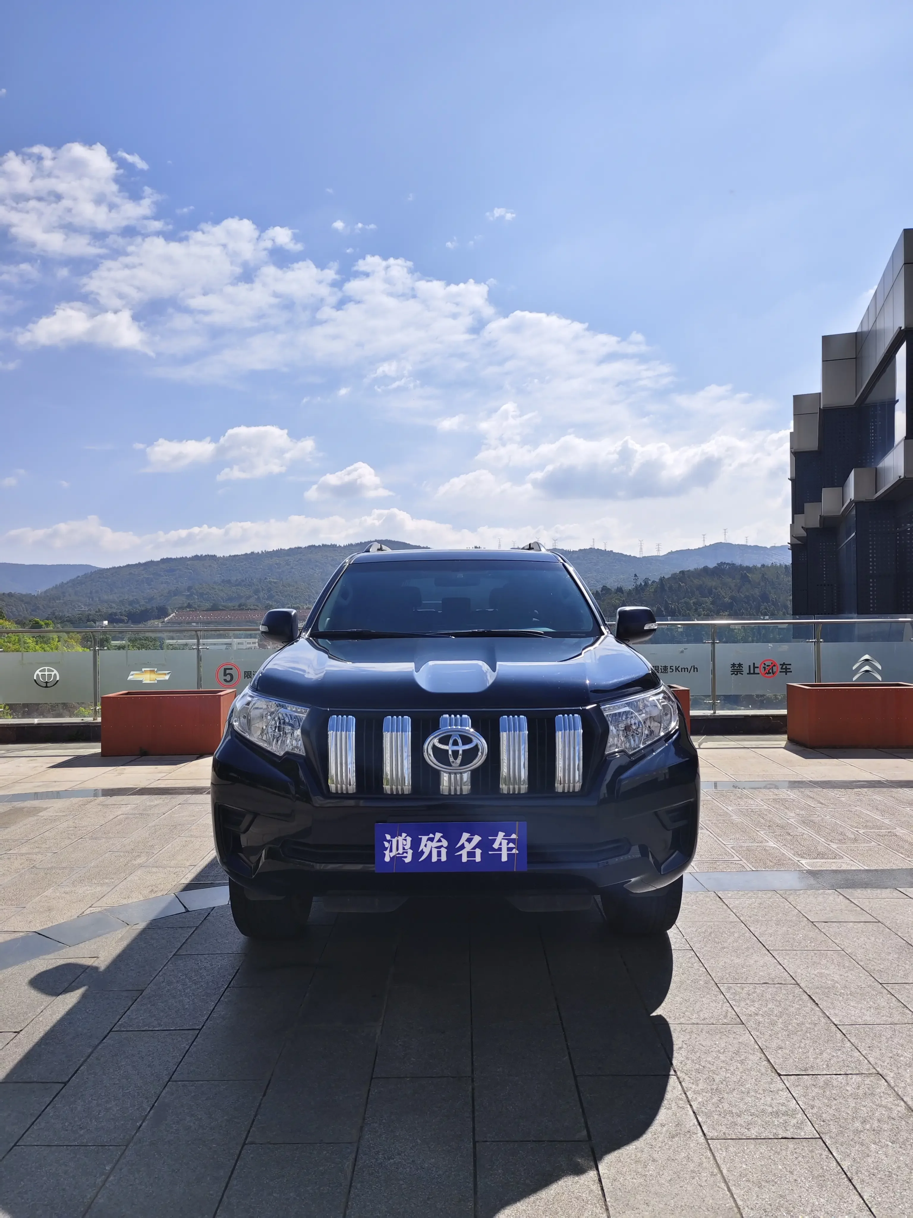 Toyota prado