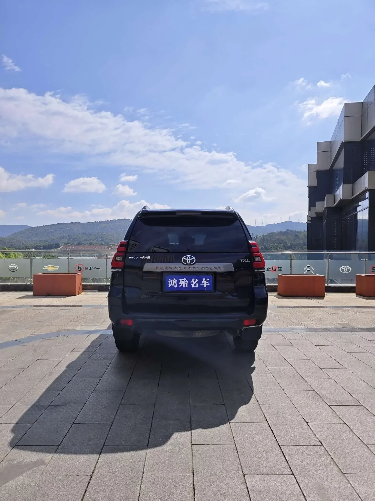 Toyota prado