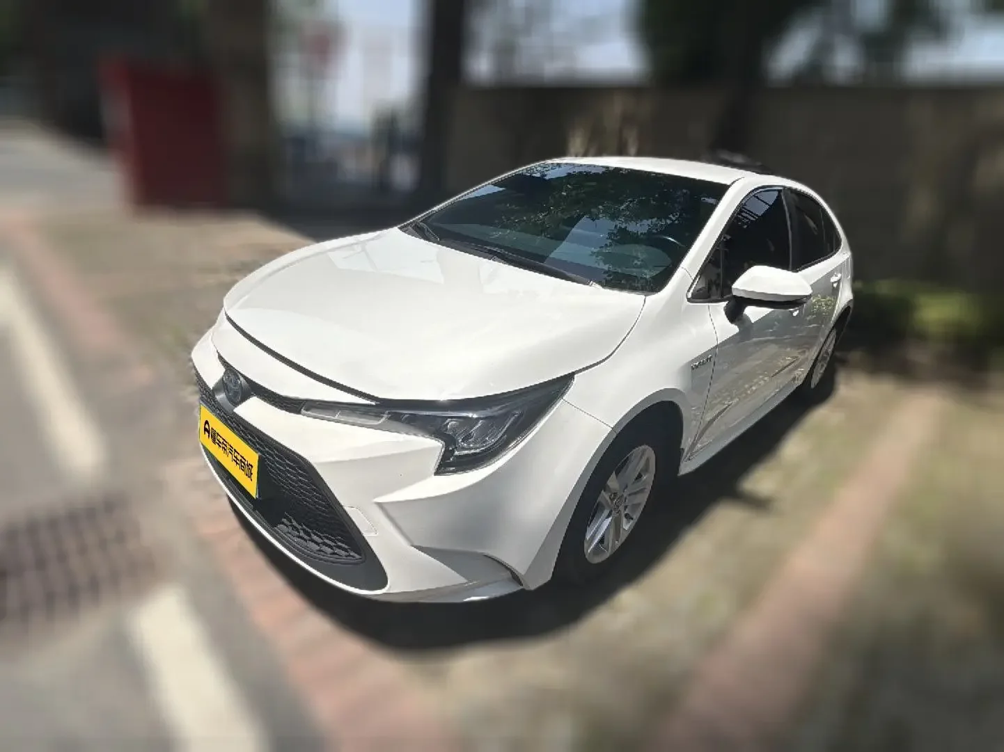 Toyota Levin