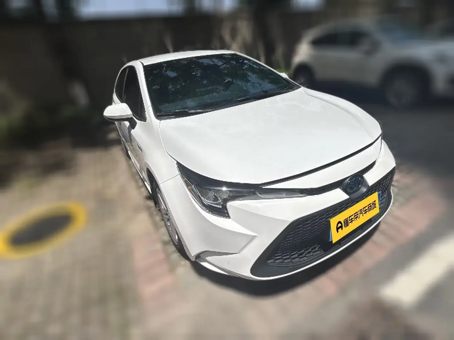 Toyota Levin