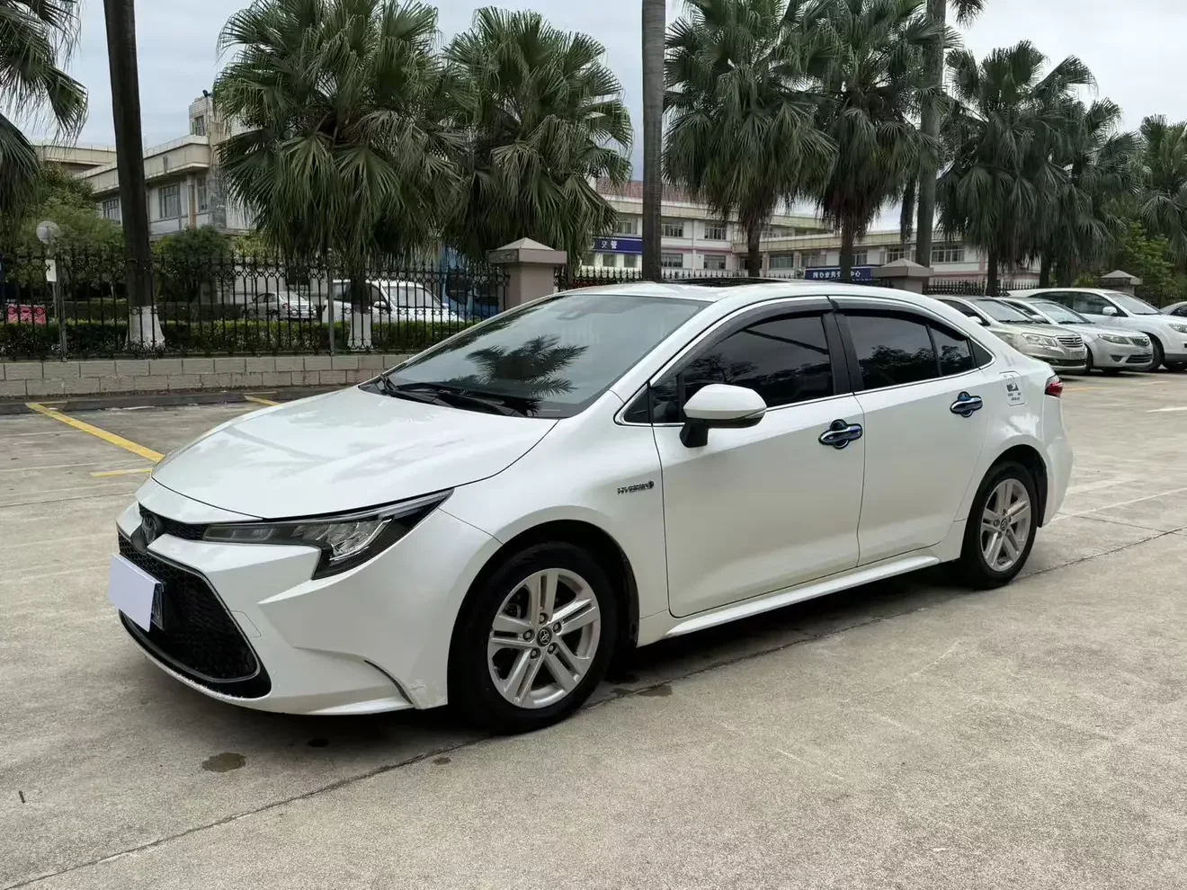 Toyota Levin