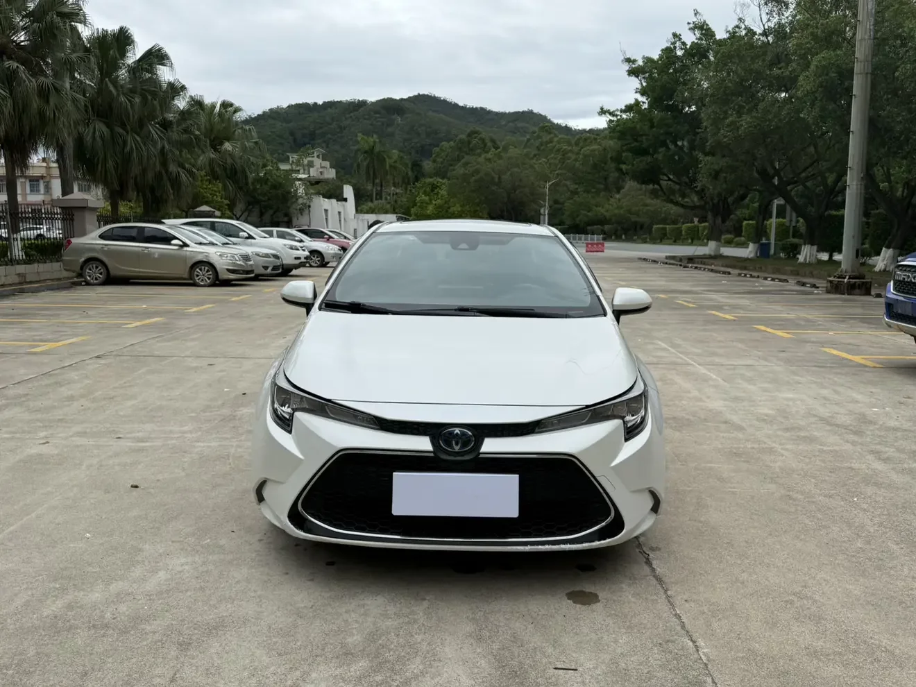 Toyota Levin