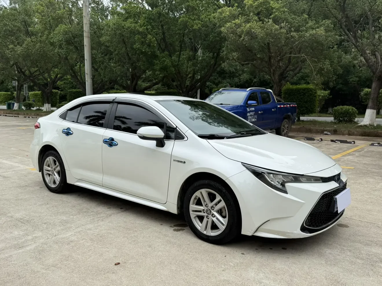 Toyota Levin