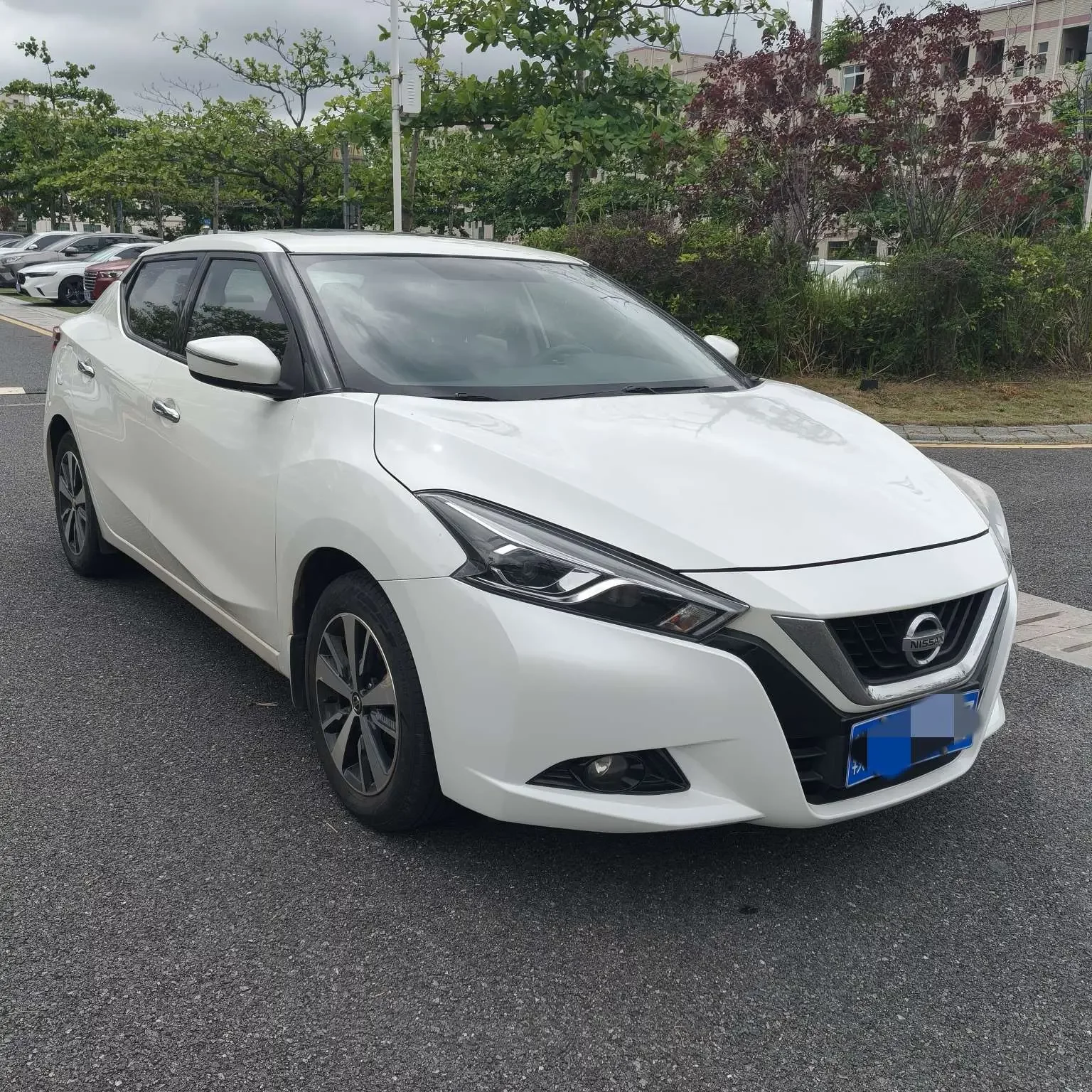 Nissan bluebird