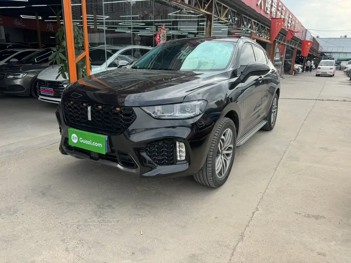 Wey Wei brand VV5