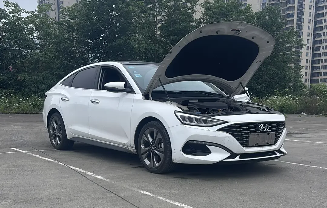Hyundai Lafesta