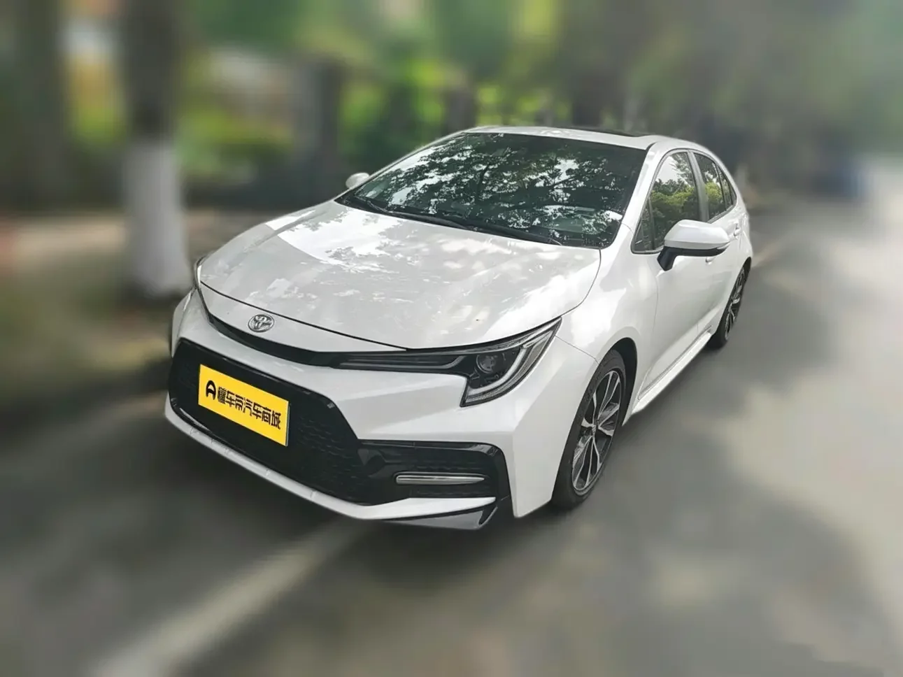 Toyota Levin