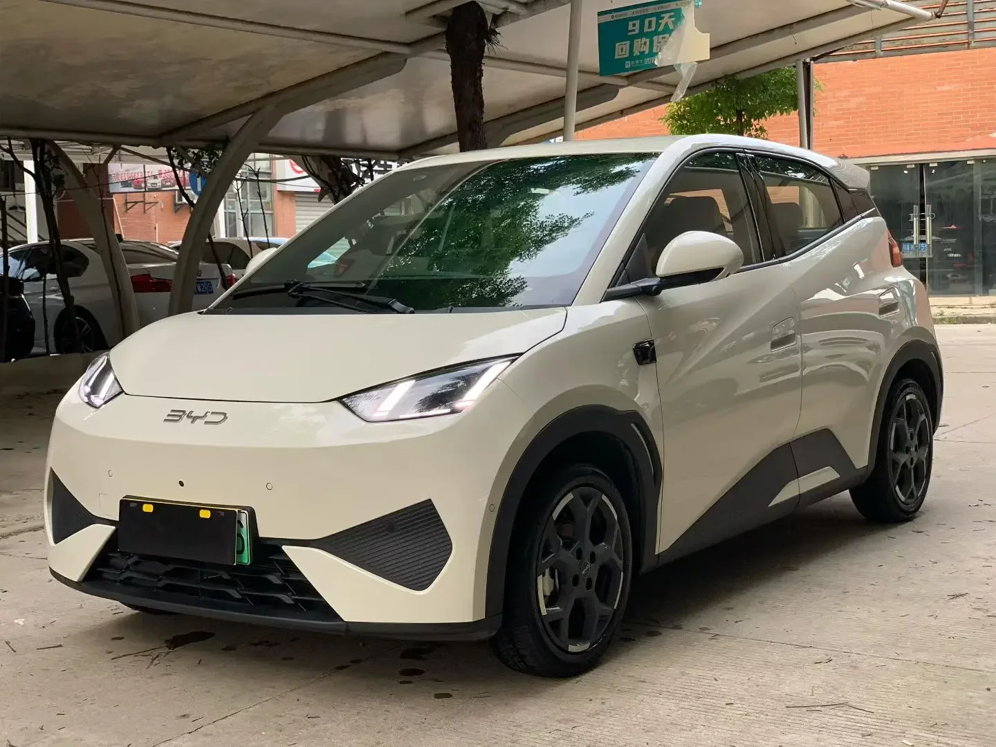 BYD seagull