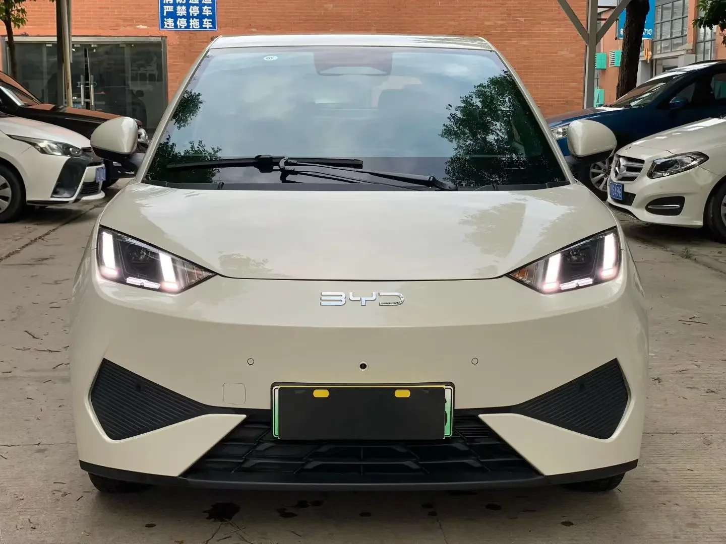 BYD seagull