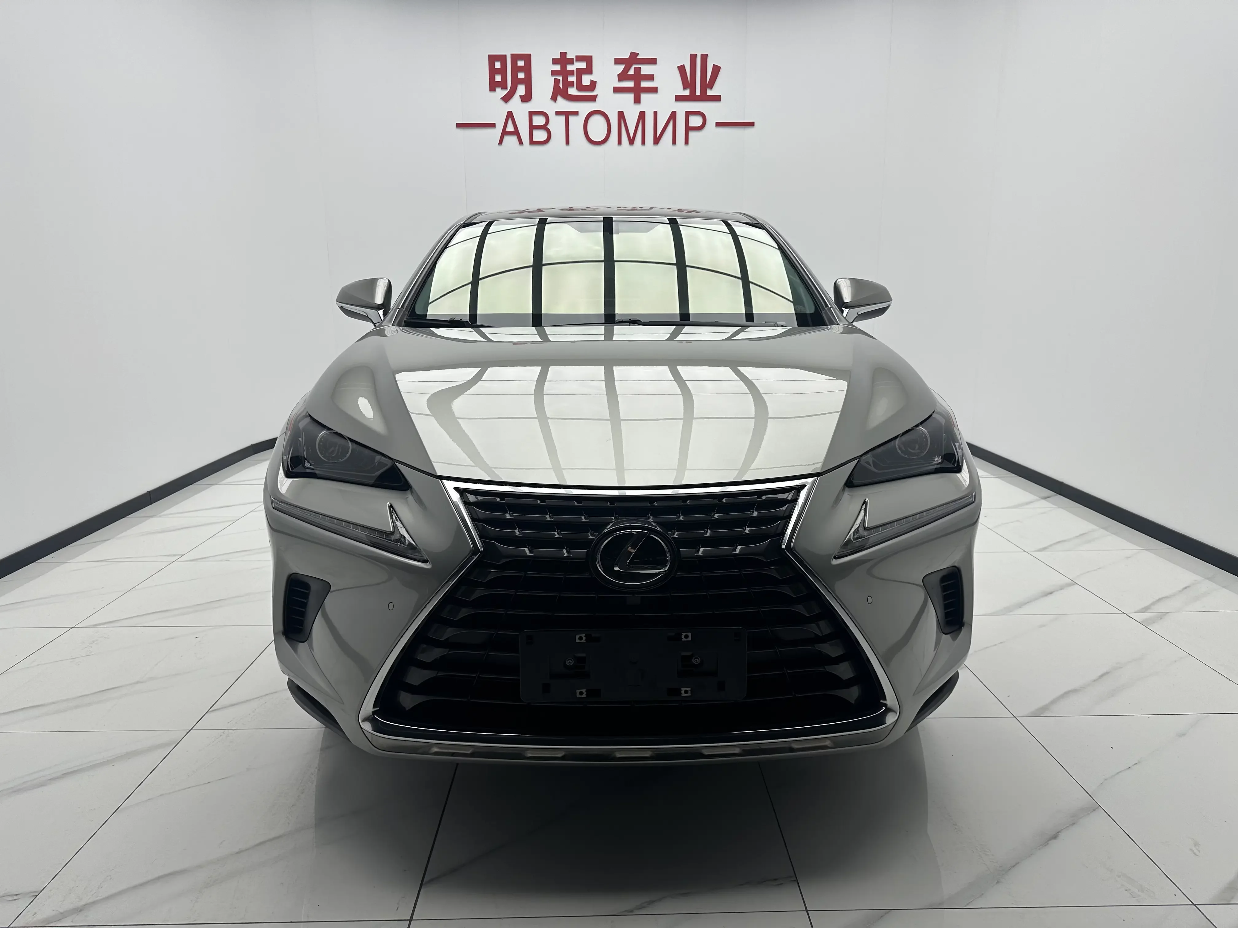 Lexus NX