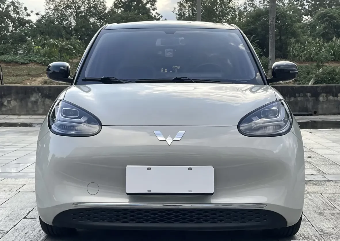 Wuling Bingo