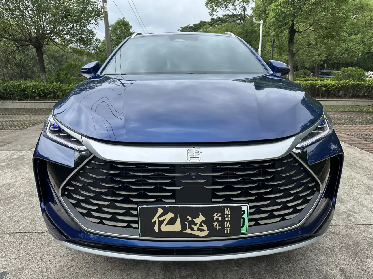 BYD Tang DM