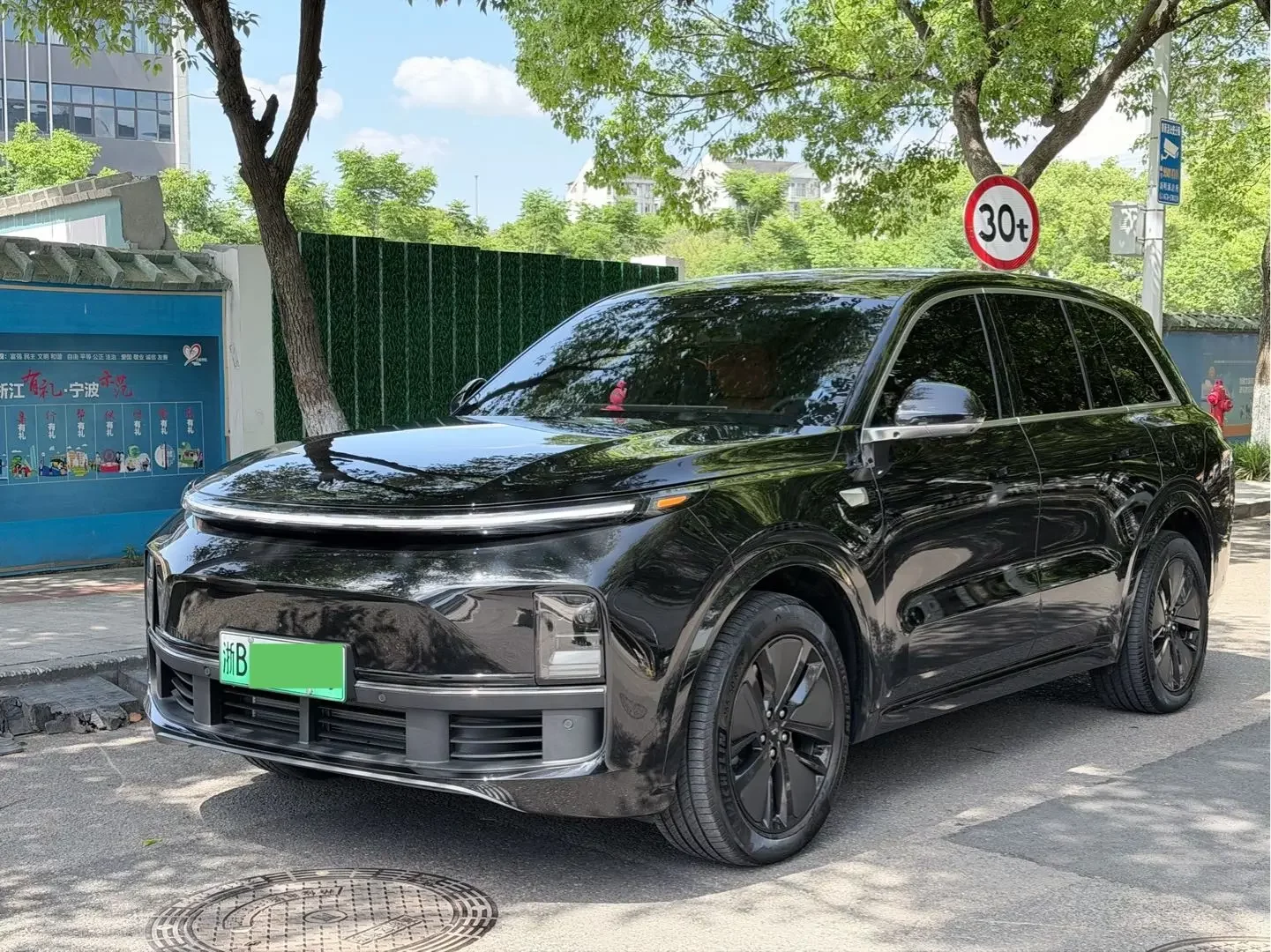 Lixiang L8