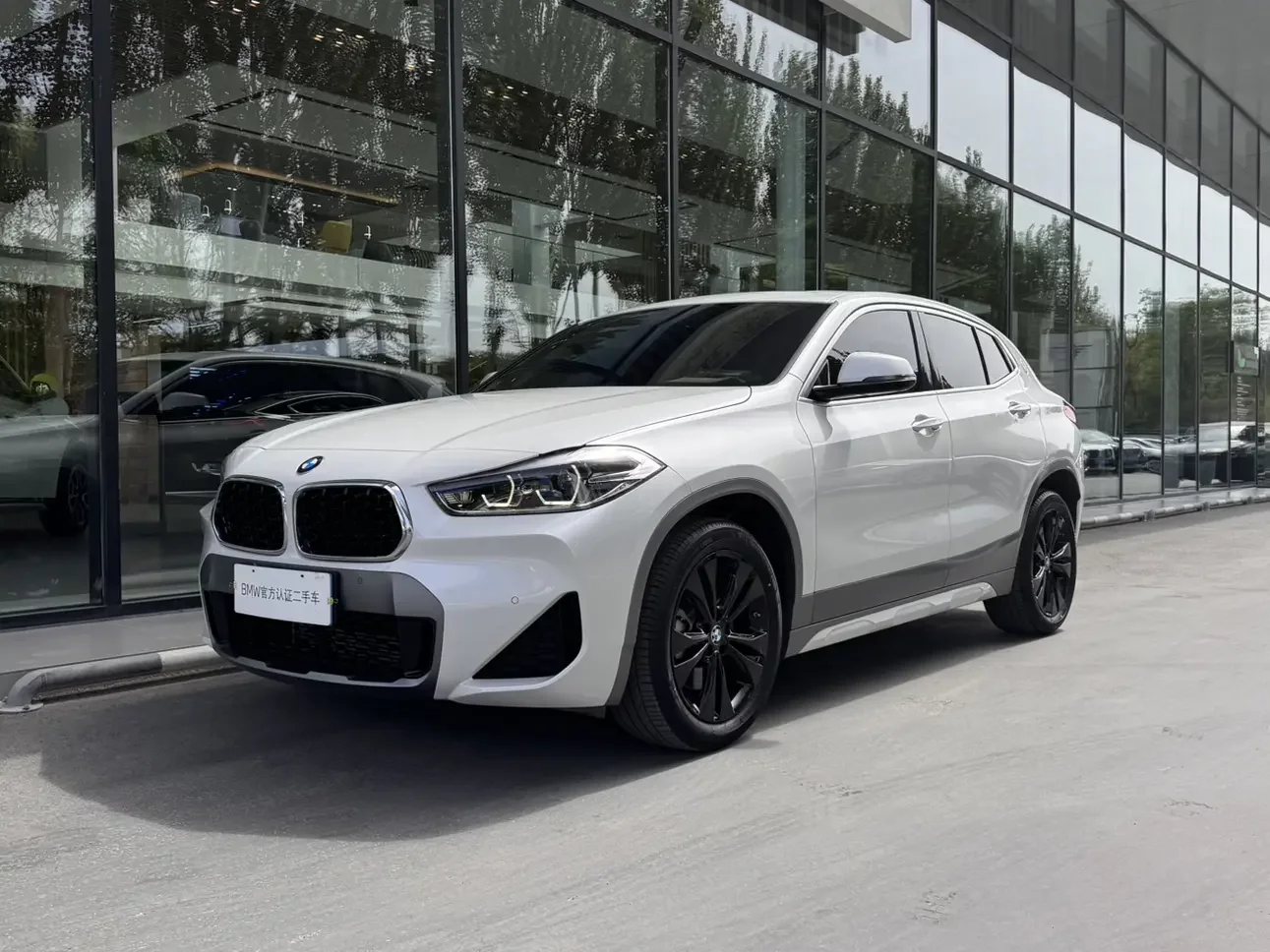 BMW X2