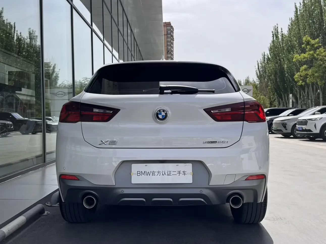 BMW X2
