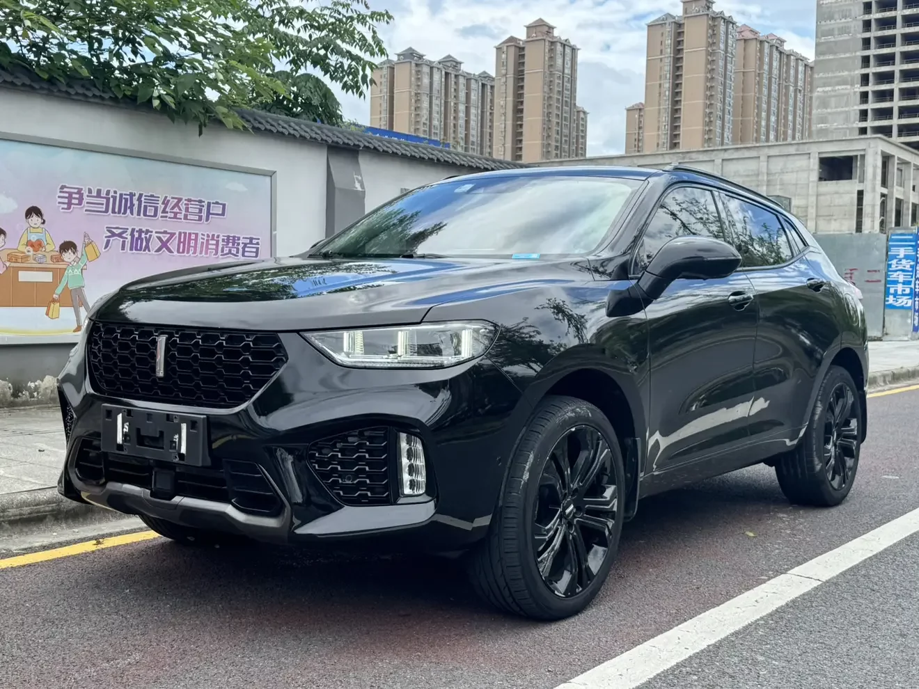 Wey Wei brand VV5