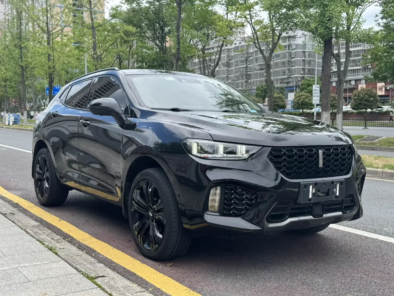 Wey Wei brand VV5
