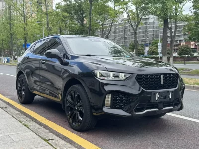 Wey Wei brand VV5
