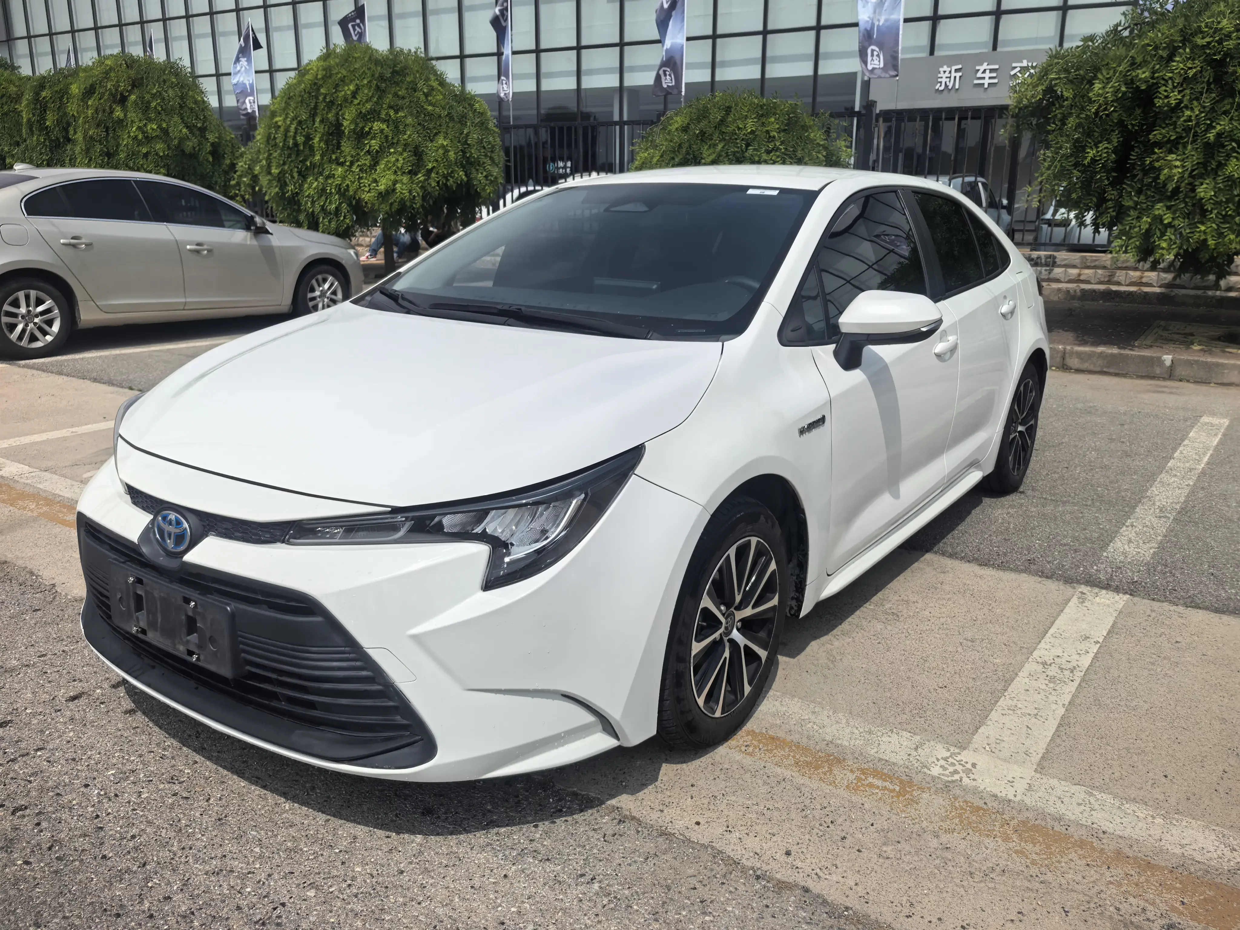 Toyota Levin