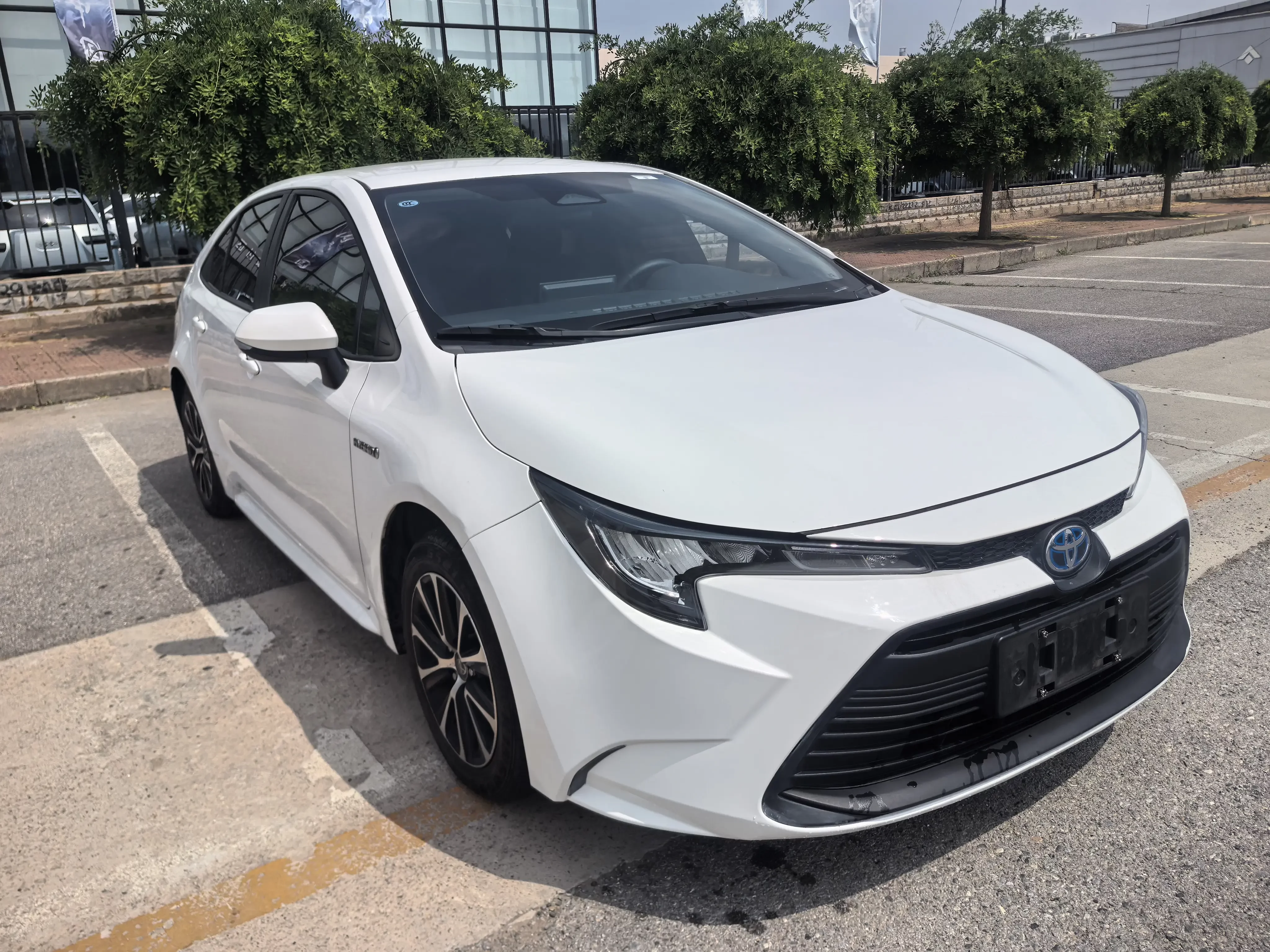 Toyota Levin
