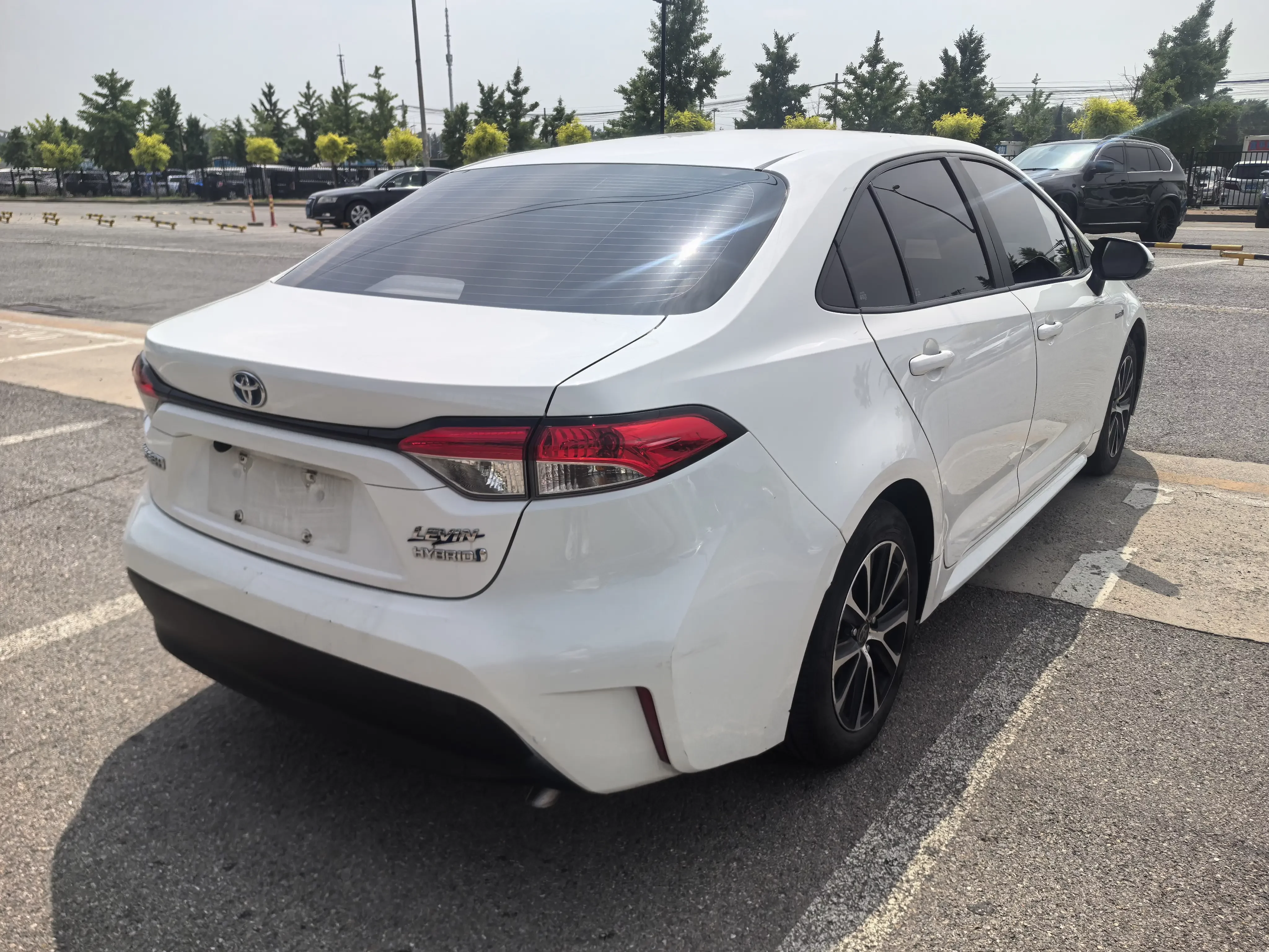 Toyota Levin