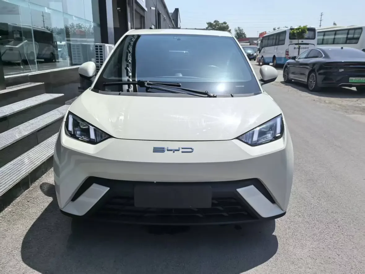 BYD seagull