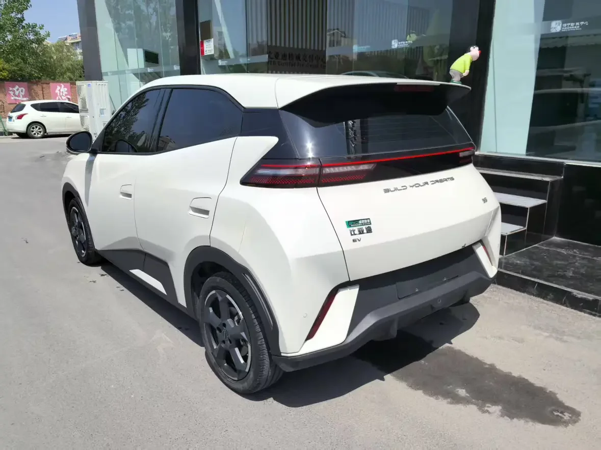 BYD seagull