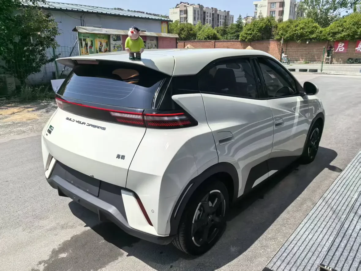 BYD seagull