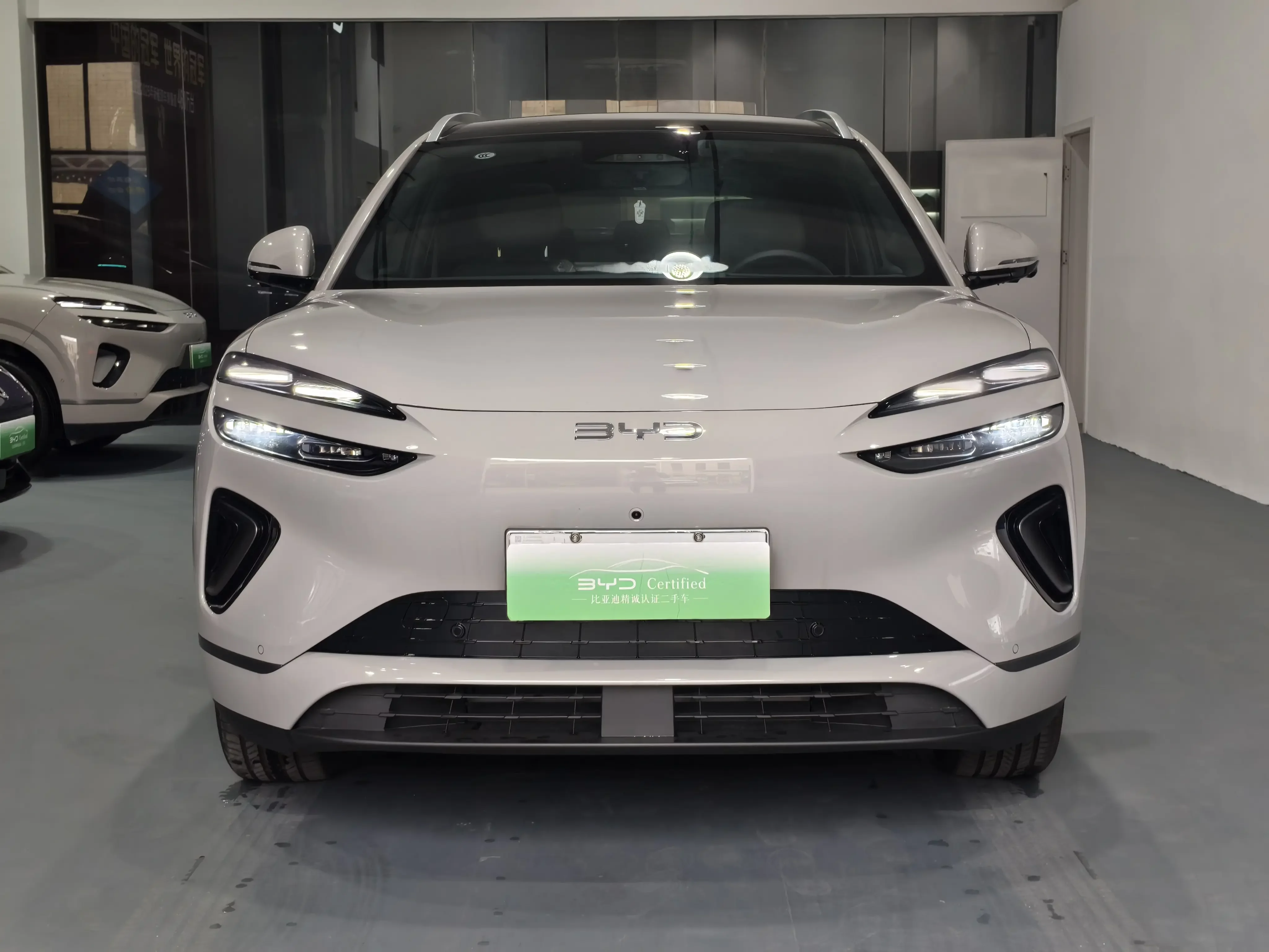 BYD Sea Lion 06EV