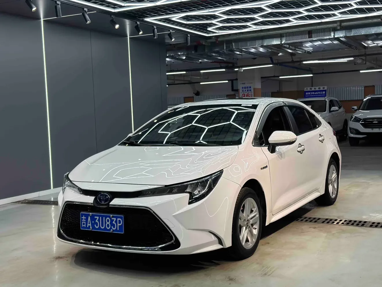 Toyota Levin